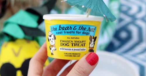 Possible Free The Bear & The Rat Frozen Yogurt Dog Treats with Social Nature
