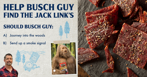 Busch Light Missing Link Sweepstakes